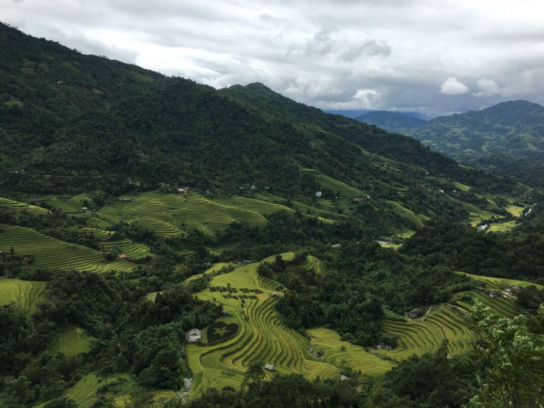 Tarasy ryżowe Hoàng Su Phì w prowincji Hà Giang w Wietnamie