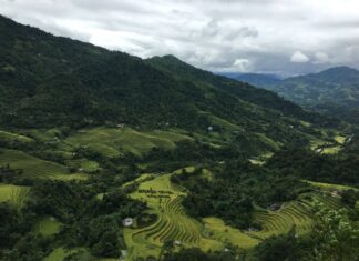 Tarasy ryżowe Hoàng Su Phì w prowincji Hà Giang w Wietnamie