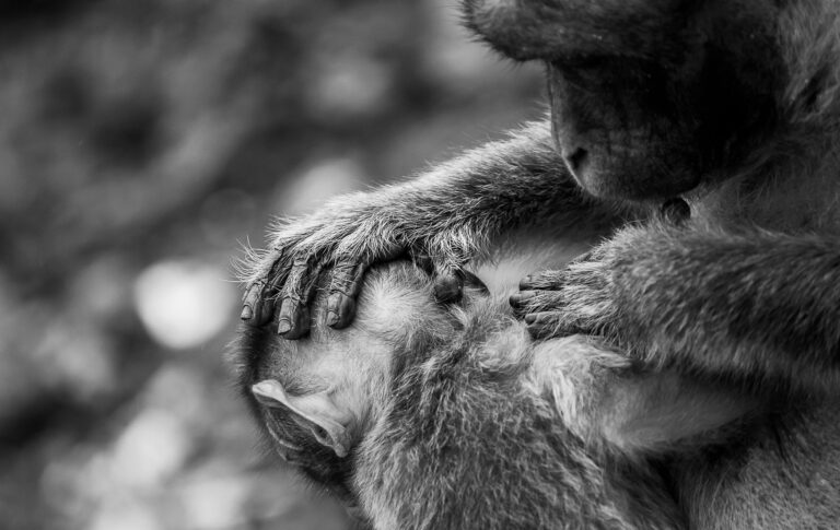Co spakować na trekking w parku narodowym w Wietnamie: checklista ekwipunku